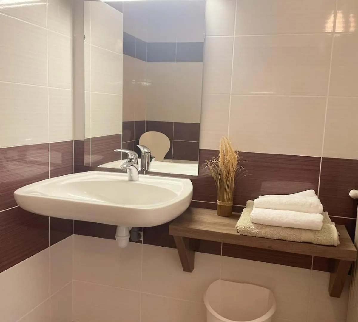 Residence Hoteliere Du Magnoac Castelnau-Magnoac 0*,